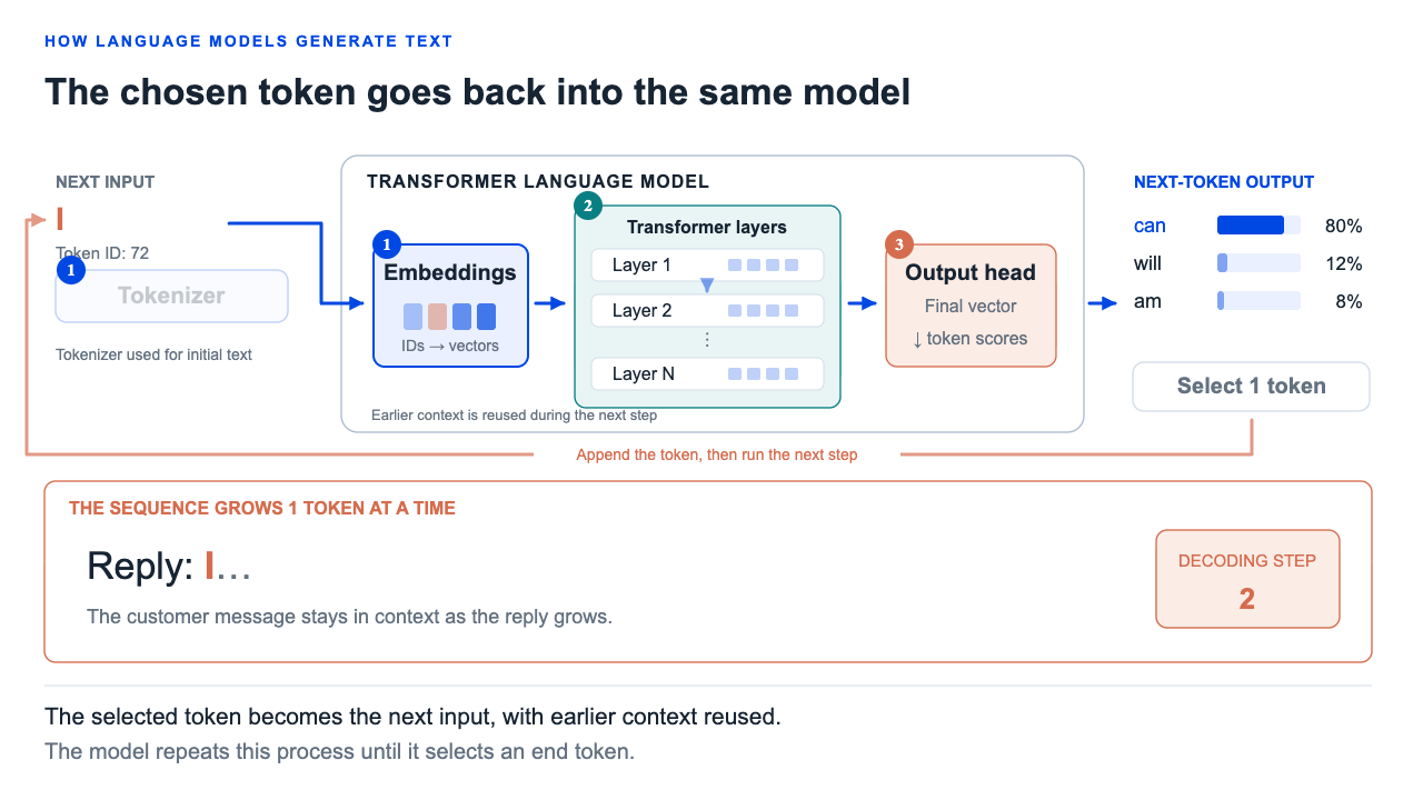 The vocabulary head selects a next token. That token returns through embeddings and the decoder to predict the following token.