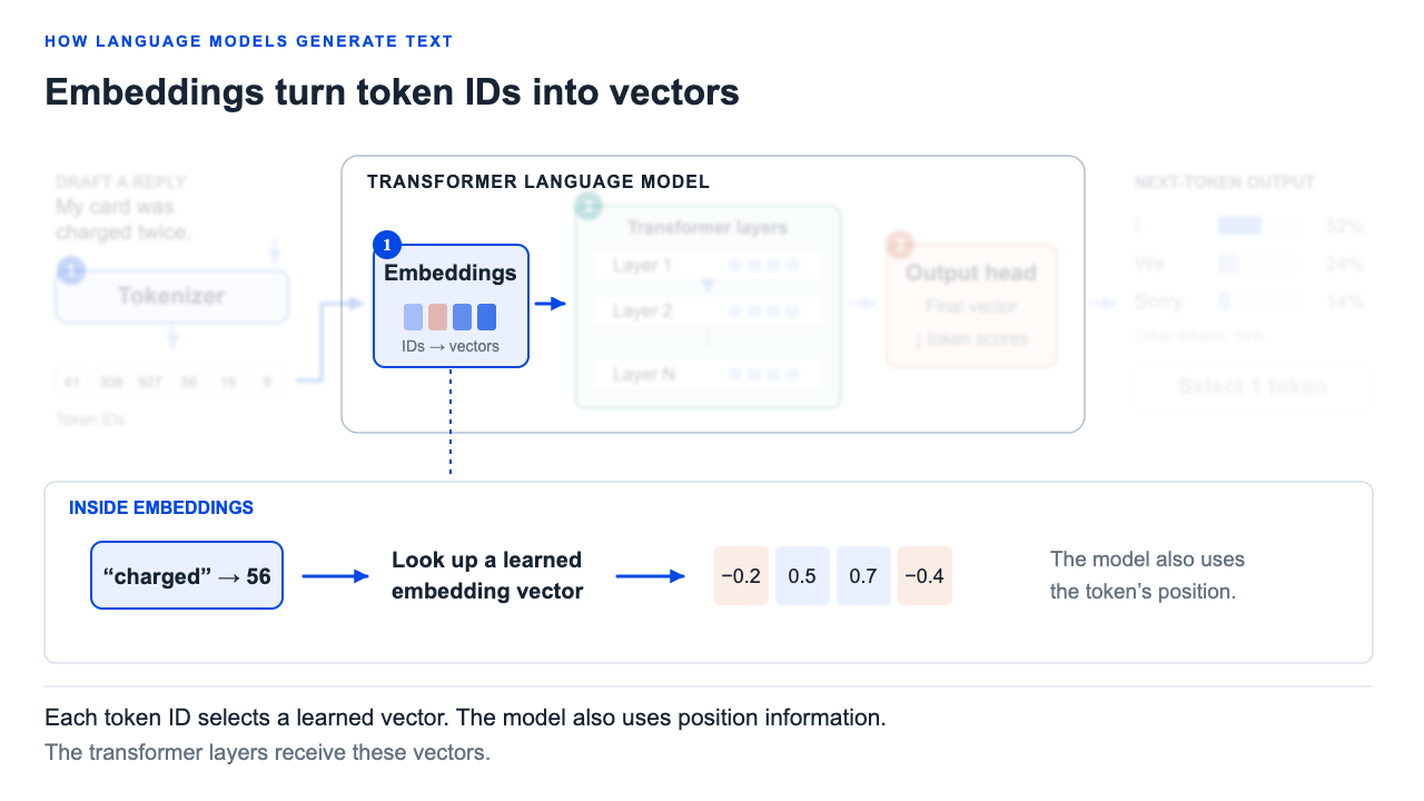 The customer message becomes token IDs outside the model. Inside the model, embeddings turn those IDs into vectors.